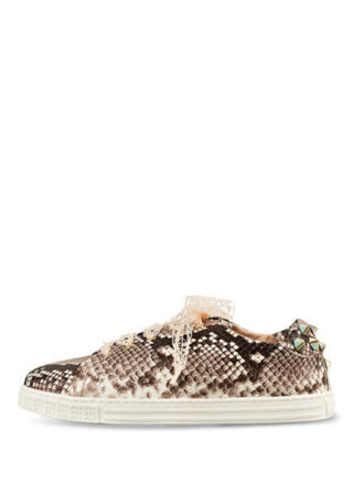 Agl Attilio Giusti Leombruni Leder-Sneaker, Braun