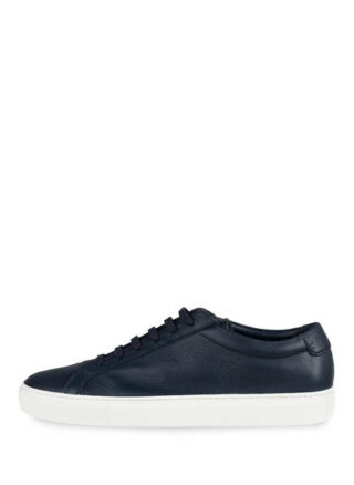 PAUL Sneaker Herren, Blau