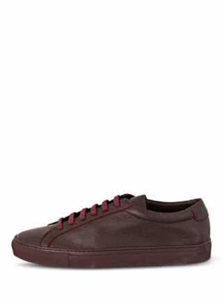 Paul Sneaker, Rot