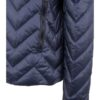 Blauer Jacke, Blau