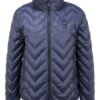 Blauer Jacke, Blau