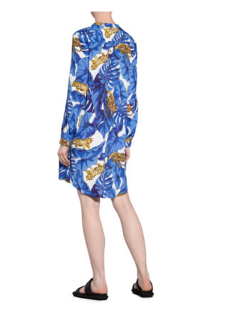 Emily Kleid, Blau