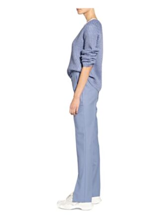 Hugo Hose Herlene, Blau
