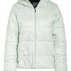 Icebreaker Steppjacke Merinoloft™ Collingwood, Grün