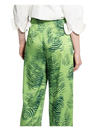 Luisa Cerano Hose, Grün