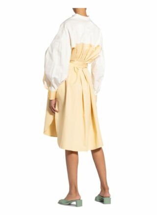 Ted Baker Hemdblusenkleid Romolow, Grau