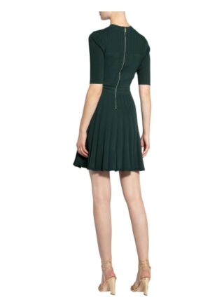 Ted Baker Strickkleid Olivinn, Grün