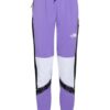 The North Face Fitnesshose Train N Logo, Lila