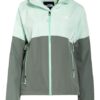 The North Face Outdoor-Jacke Diablo Dynamic, Grün