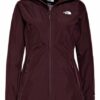The North Face Outdoor-Jacke Hikesteller, Braun