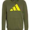 Adidas Hoodie Badge Of Sport gruen