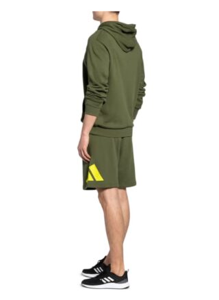 Adidas Hoodie Badge Of Sport gruen