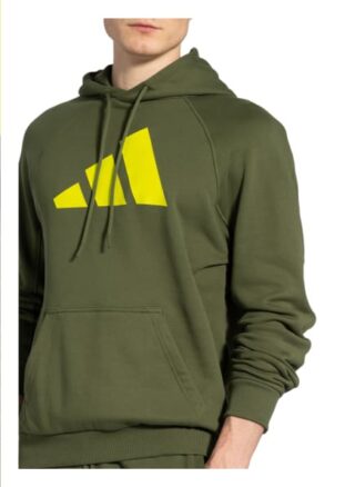 Adidas Hoodie Badge Of Sport gruen