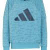 Adidas Sweatshirt Sportswear Winners Badge Of Sport gruen