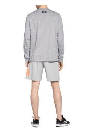 Adidas Sweatshirt Sportswear grau
