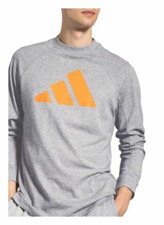 Adidas Sweatshirt Sportswear grau