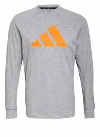 Adidas Sweatshirt Sportswear grau