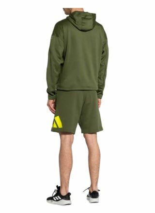 Adidas Studio Tech Hoodie Herren, Grün