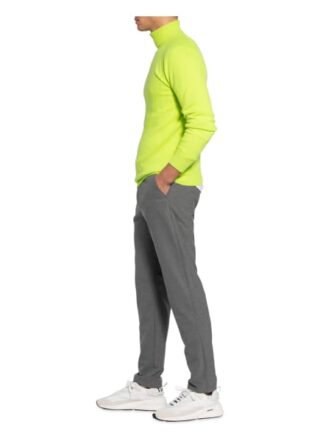 Alphatauri Hose Phazz Regular Fit grau