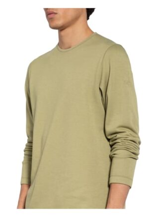 Arc'teryx Fleecepullover Dallen gruen