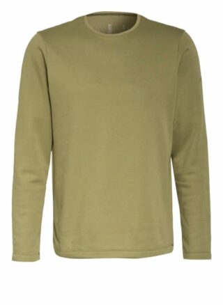 Arc'teryx Fleecepullover Dallen gruen
