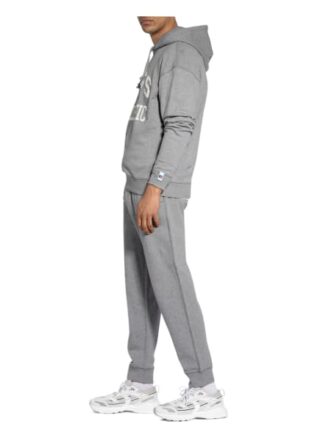 Boss Hoodie Safa grau