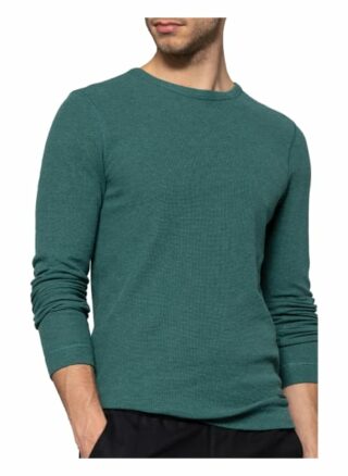 Boss Longsleeve Tempest gruen