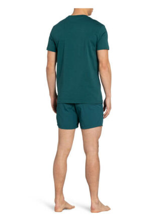 Boss T-Shirt Herren, Grün