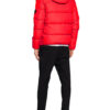 Calvin Klein Jeans Daunenjacke rot