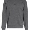 Calvin Klein Sweatshirt grau