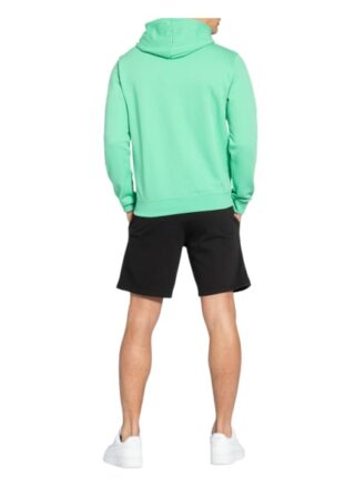 Champion Hoodie gruen