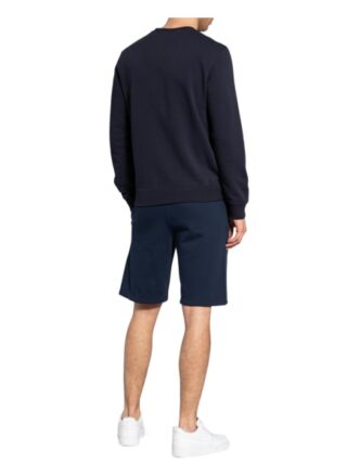 Champion Sweatshirt blau