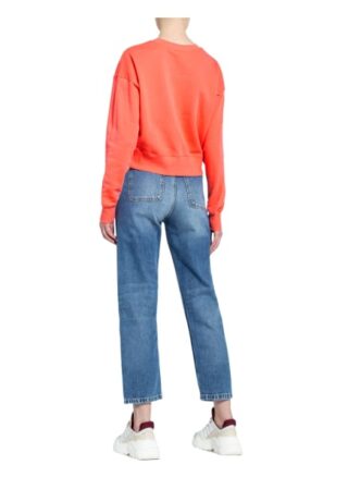 Champion Sweatshirt rot
