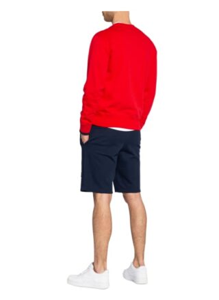 Champion Sweatshirt rot