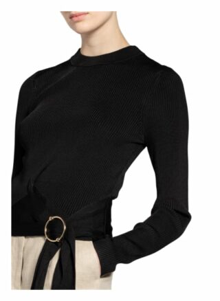 Claudie Pierlot Pullover Marin schwarz