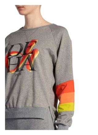 Deha Sweatshirt grau
