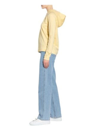 Drykorn Hoodie Papilia gelb