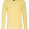 drykorn Toni Hoodie Herren, Gelb