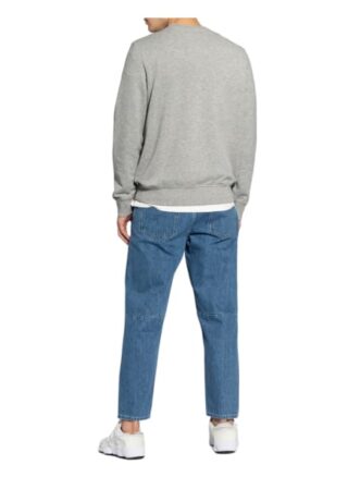 Ecoalf Sweatshirt Sendaalf grau