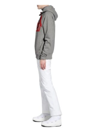 Falke Hoodie grau