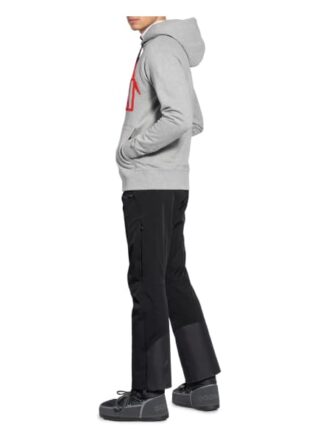 Falke Hoodie grau