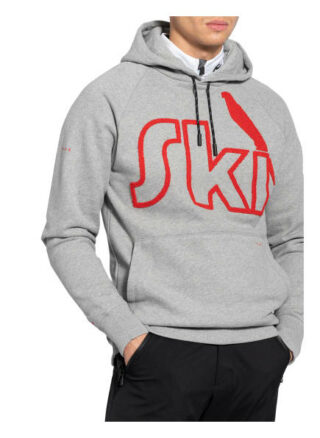 Falke Hoodie grau