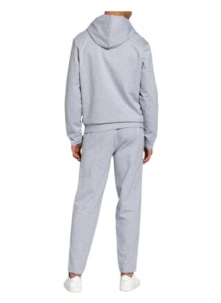 Fire+Ice Hoodie Hector Mit Galonstreifen grau