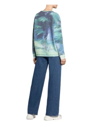 Frogbox Sweatshirt gruen
