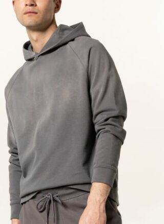Juvia Hoodie grau