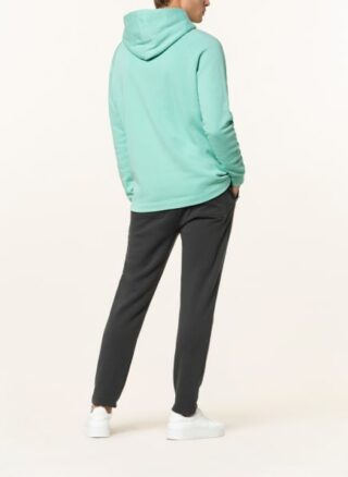 Juvia Hoodie Herren, Grün