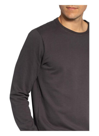 Juvia Sweatshirt Herren, Grau