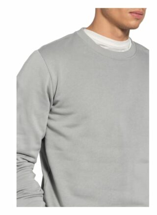Juvia Sweatshirt grau