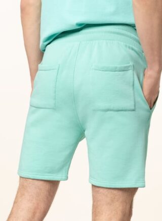 Juvia Sweatshorts gruen