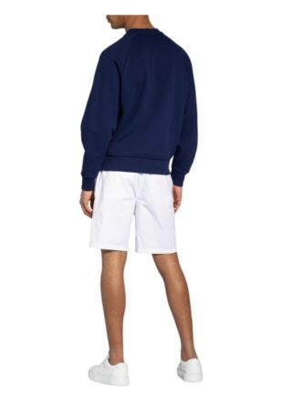 Lacoste Sweatshirt Herren, Blau